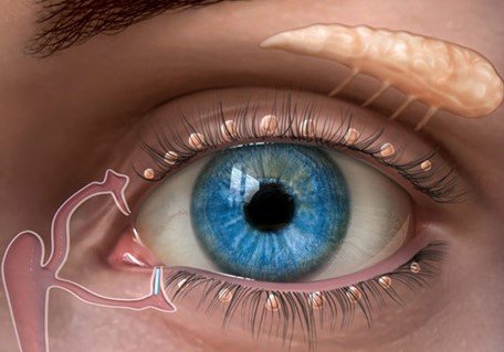 Dacriocistorrinostomia endoscopica transnasal sin cicatrices externas en Estambul