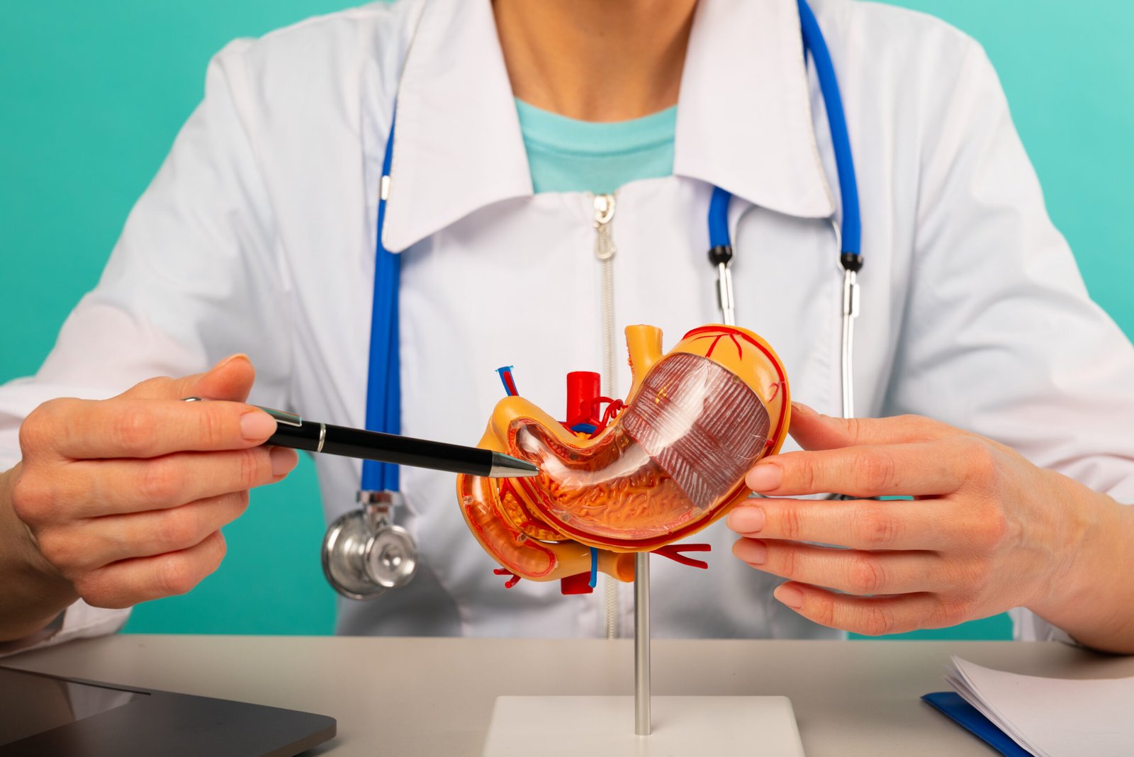 Fases de la dieta y alimentacion tras manga gastrica en Cayra Clinic