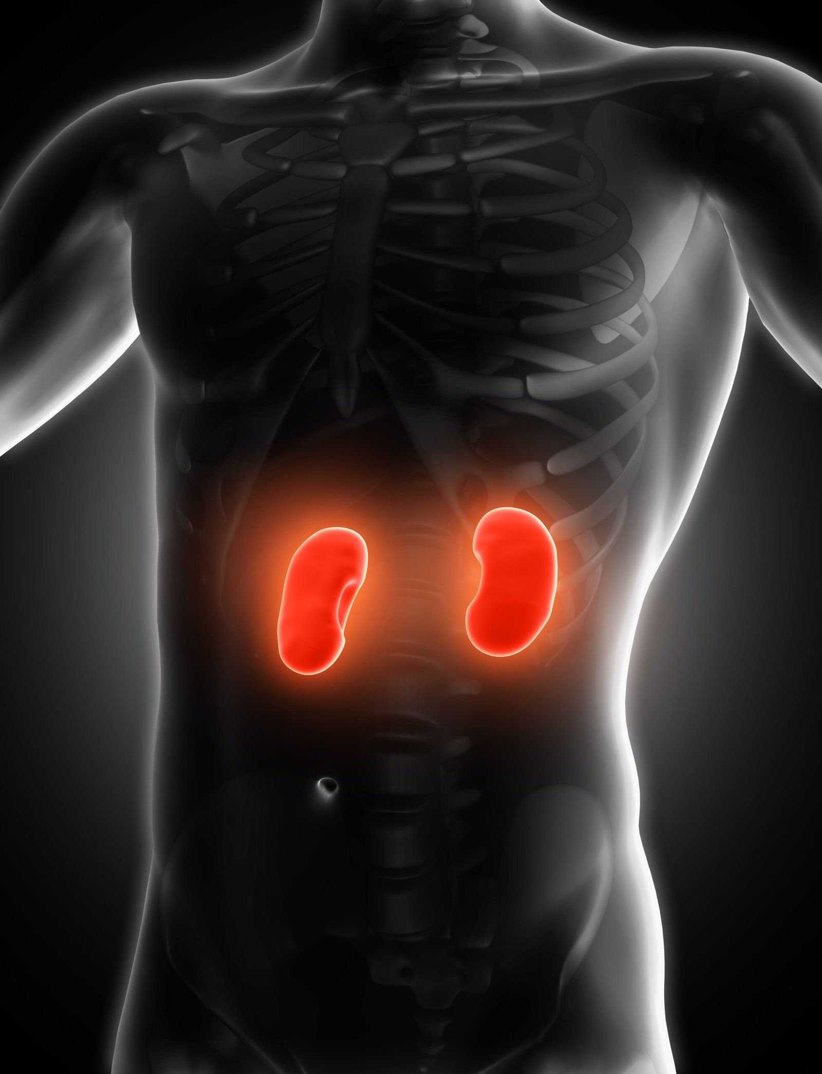 Evaluacion medica y nefrologica de donante vivo para trasplante de rinon en Estambul